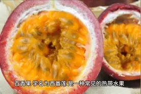 百香果的性质是热性还是凉性？中医告诉你答案图片