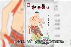 用五脏解释酸儿辣女图片