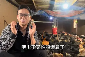 养鸡一天喂几次料，控料是分时间和技巧的#帮养一窝鸡图片