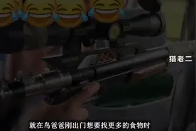 这是你绝对没见过的红毛鸡喂食画面 #神奇动物在抖音图片