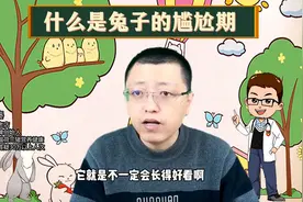 什么是兔子的尴尬期？#宠物兔图片