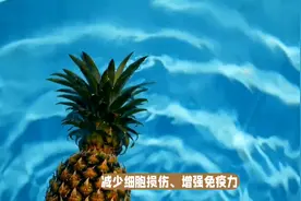 凤梨的营养价值及食用方法图片