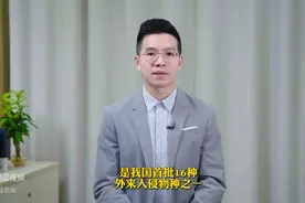 注意！雨后看见这种蜗牛 千万别摸！图片