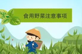 食用野菜注意事项！视频封面