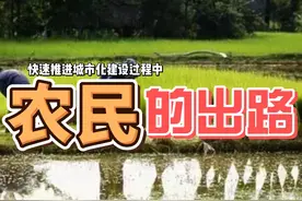快速推进城市化的过程中，别忘了农村可是新中国成立的基础 农民视频封面