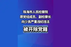珠海市人民检察院原党组成员、副检察长向少良严重违纪违法被开除党籍。#反腐视频封面