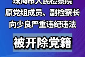 珠海市人民检察院原党组成员、副检察长向少良严重违纪违法被开除党籍。#反腐视频封面