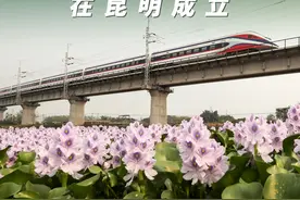 新华社消息｜中老铁路城市联盟在昆明成立视频封面