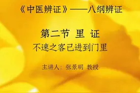 八纲辨证
里证视频封面