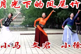 文君三姐妹表演傣族舞《月光下的凤尾竹》，轻柔美丽，婀娜多姿！视频封面
