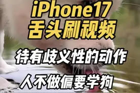 iPhone17舌头刷视频：待有歧义性的动作，人不做偏要学狗