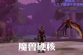 魔兽硬核 猎人刷怪升级 最效率天赋加点 #魔兽硬核模式 #魔兽世界视频封面