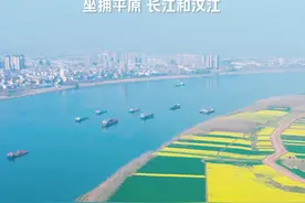 一边是城市，一边是乡村田园，这就是富庶之地的江汉平原，你愿意来这里生活吗#荆州 #潜江 #天门 #仙桃 #农村生活