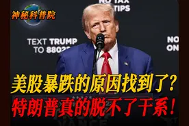 美股暴跌的原因是啥？川普政策与经济衰退造成美国市场恐慌？视频封面