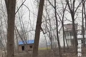 女生河边看别人放“二踢脚”，结果炮仗直接奔着她就飞了过来，网友:你开定位了嘛?视频封面