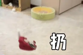假如情侣身份互换 @阿颗一 #best人生视频封面