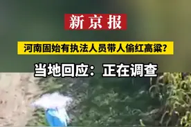 河南固始有执法人员带人偷红高粱？ 当地回应：正在调查视频封面