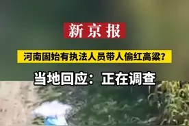 河南固始有执法人员带人偷红高粱？ 当地回应：正在调查视频封面