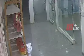 3月3日，吉林长春。狗子拆楼梯扶手，不慎从二楼跌落吊在空中。主人：这阿拉斯加你就养吧，天天是真有节目啊！视频封面