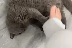 #挠脚心 #挠痒痒 #女生的脚 #无处安放的小脚丫 #搞笑段子视频封面