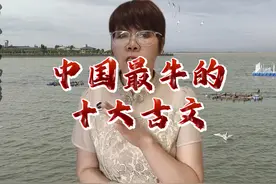 中国最牛的十大古诗文 #历史 #传统文化 #上热门🔥 读书#朗诵视频封面