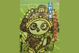 哈尔滨巨幅稻田画，北大荒闫家岗农场 哈尔滨都市后花园#东北 #黑龙江 #哈尔滨 #北大荒 #北大荒文化视频封面