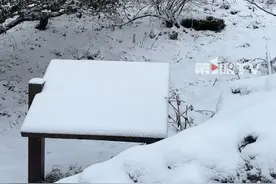 预警！寒潮来袭！重庆海拔1000米以上地区飘雪。受寒潮影响，2月6日晚上10点半左右，金佛山景区海拔1600米以上下起了鹅毛大雪。#第1眼TV口说有屏视频封面