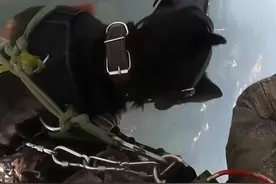 太酷了！雷神突击队女兵携军犬跳伞视频封面