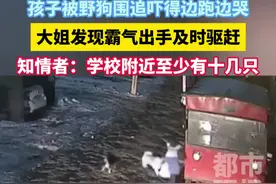 孩子被野狗围追吓得边跑边哭，大姐发现霸气出手及时驱赶！#流浪狗  #危险瞬间  #监控下的一幕  #你怎么看视频封面