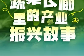 蔬菜长廊里的产业振兴故事 #湖北省嘉鱼县 的#蔬菜长廊 是怎么形成的？都有哪些#特色蔬菜 ？一起来看看吧！视频封面