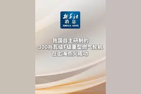 新华社消息｜我国自主研制的300兆瓦级F级重型燃气轮机在上海点火成功视频封面