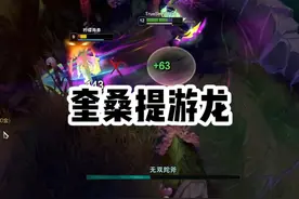 奎桑提：我是正常英雄，心之钢坦克才是数值怪！ #lol视频封面