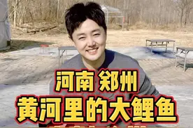 河南郑州，尝尝黄河里的大鲤鱼有什么不同 #我要上热门 #人间烟火 #省饭课代表 #郑州 #黄河大鲤鱼
