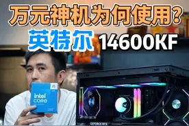 为何选择 英特尔 14600KF CPU #英特尔酷睿 #diy电脑 #14600KF #电脑 #电脑配置推荐视频封面