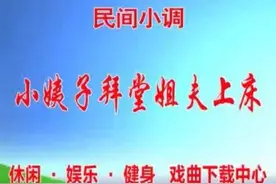 民间小调《小姨子拜堂姐夫上床06》视频封面