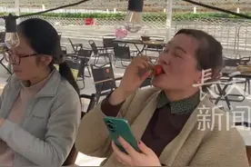 杭州“天空草莓瀑布”爆红 游客可以边吃涮锅边吃草莓 门票15元一人 草莓80元一斤 干净卫生网友：这钱该他挣啊 科技和农业相结合 ！#万万想不到 #浙江dou知道视频封面
