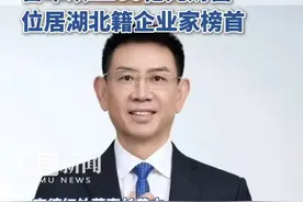 黄立、黄晟父子以200亿元的财富稳居湖北首富！雷军以2200亿元财富位居湖北籍企业家榜首视频封面