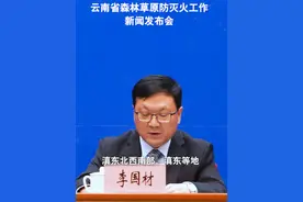 省级联合会商研判#云南  今冬明春森林火险等级情况：防灭火形势严峻#云南权威快报视频封面