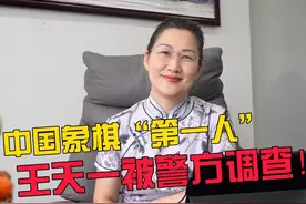 中国象棋“第一人”王天一被警方调查！ #邵薇薇的图表派视频封面
