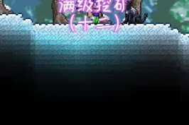 #泰拉瑞亚 满级挖矿方式视频封面