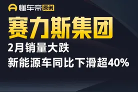 赛力斯集团2月销量大跌，新能源车同比下滑超40%#快讯 #赛力斯视频封面