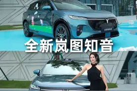 千万别去试驾全新岚图知音！#超空间华系纯电suv #全新岚图知音
