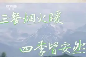 从晨光到夜幕，从春夏到秋冬，在美食中记录时光流转、穿越四季轮回～12月29日20:00档CCTV-1#三餐四季  第二季开播，央视频同步直播，敬请关注！视频封面