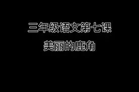 #小学语文 三年级下册第七课《美丽的鹿角》微课#课件分享视频封面