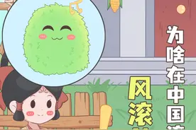叱咤美国的风滚草，为啥在中国滚不起来了？#风滚草  #神奇植物在哪里 #轻漫计划 #趣味科普 #入侵物种视频封面