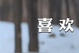 前男友创业失败 ，前女友拿8w救助， 情难断？#前男朋友#创业失败#前任复合 视频封面
