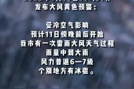 南充今晚有雷雨大风天气过程，个别地方有冰雹 #四川 #南充 #看见南充 #天气 #气象 #最新消息 #雷雨 #冰雹 视频封面