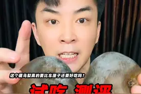 这个藏乌梨真的好吃吗？它真的是西藏特有的水果吗？ #藏乌梨 #测评 #试吃 #星仔实测 #美食测评视频封面
