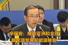 辛保安：推动亚洲和全球新能源发展和能源转型 需大力发展电网基础设施#新能源 #财经视频封面