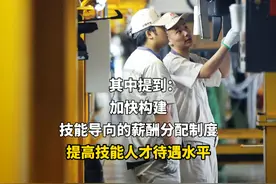 政府工作报告：让多劳者多得、技高者多得、创新者多得！ #2025全国两会 #政府工作报告视频封面